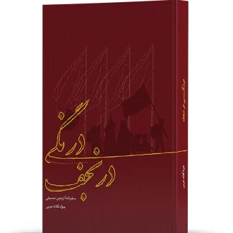 درنگی در نجف